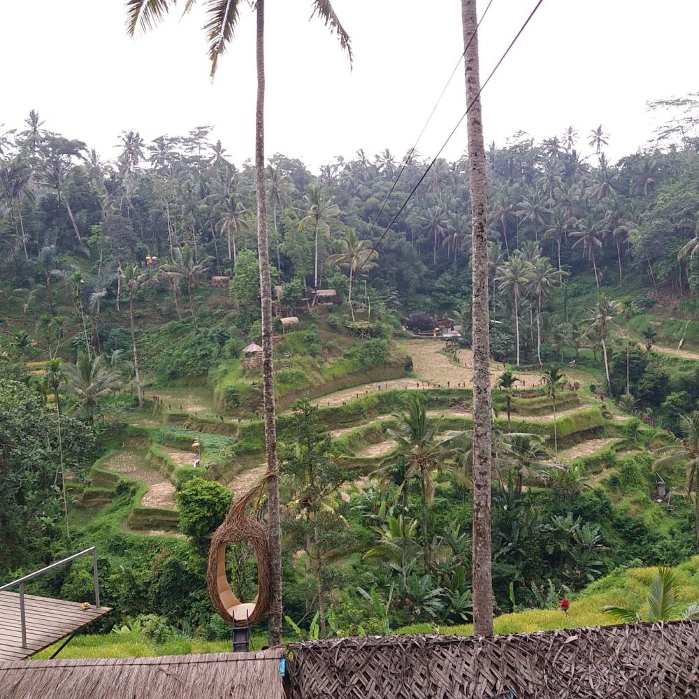 8350dd88-88f6-4ab6-8940-ab2b34d9687b